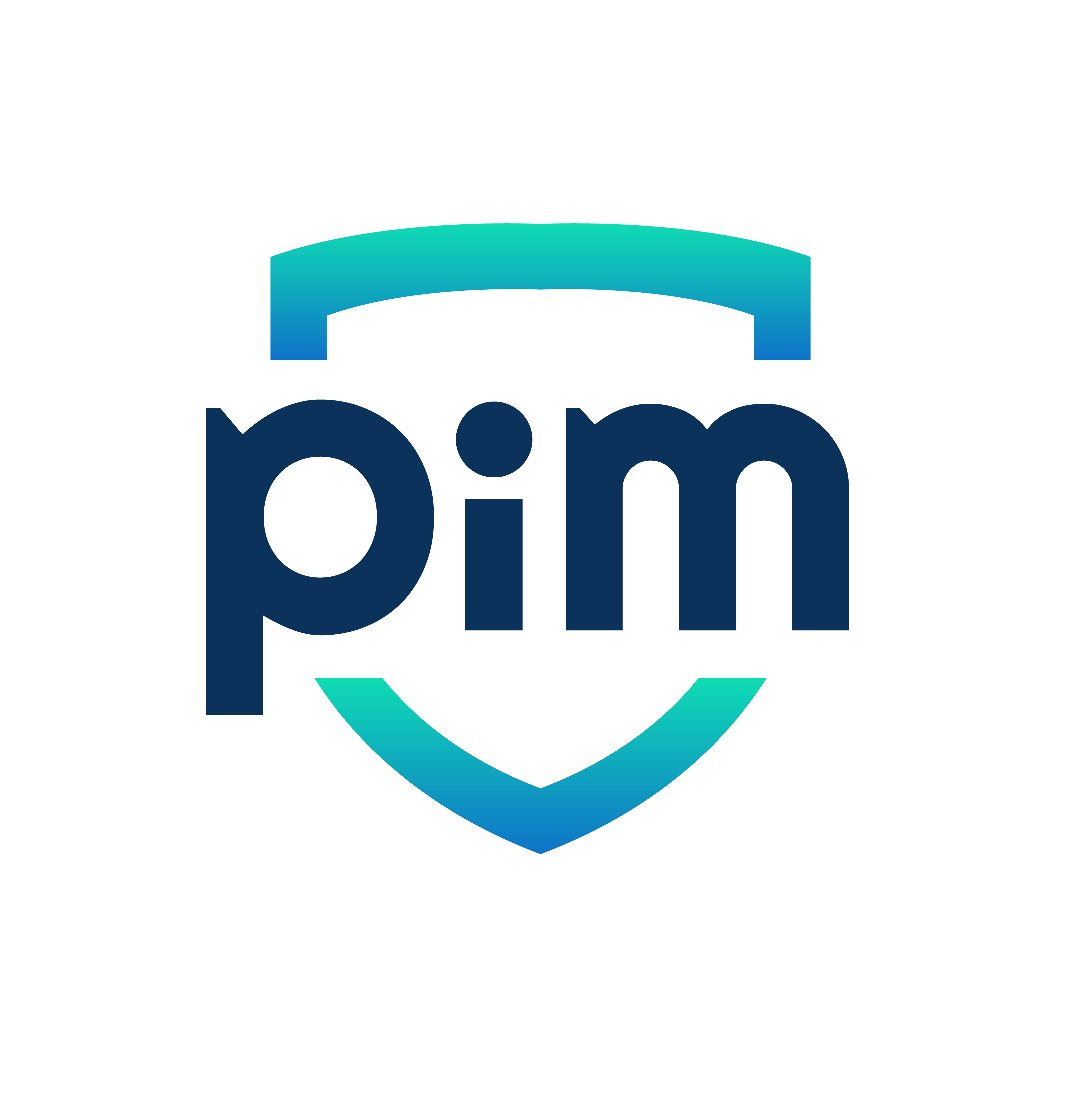 Logo_Pim_Tekengebied 1 kopie 3